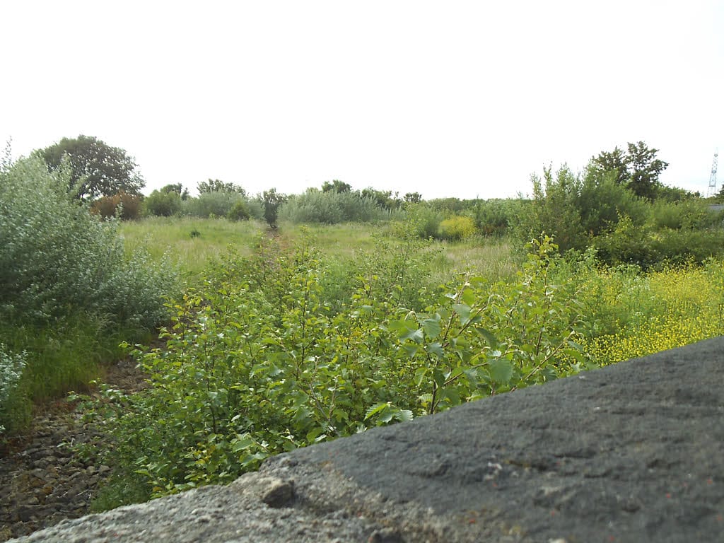 Ellies cafe photo 3