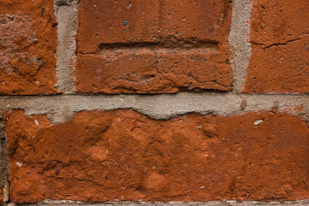 Little Dragon's Den Soft Play & Parties photo 4