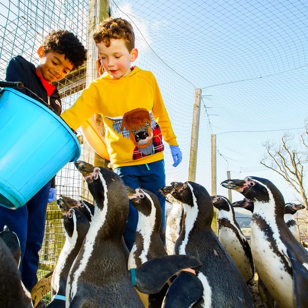 Penguin Cafe photo 6