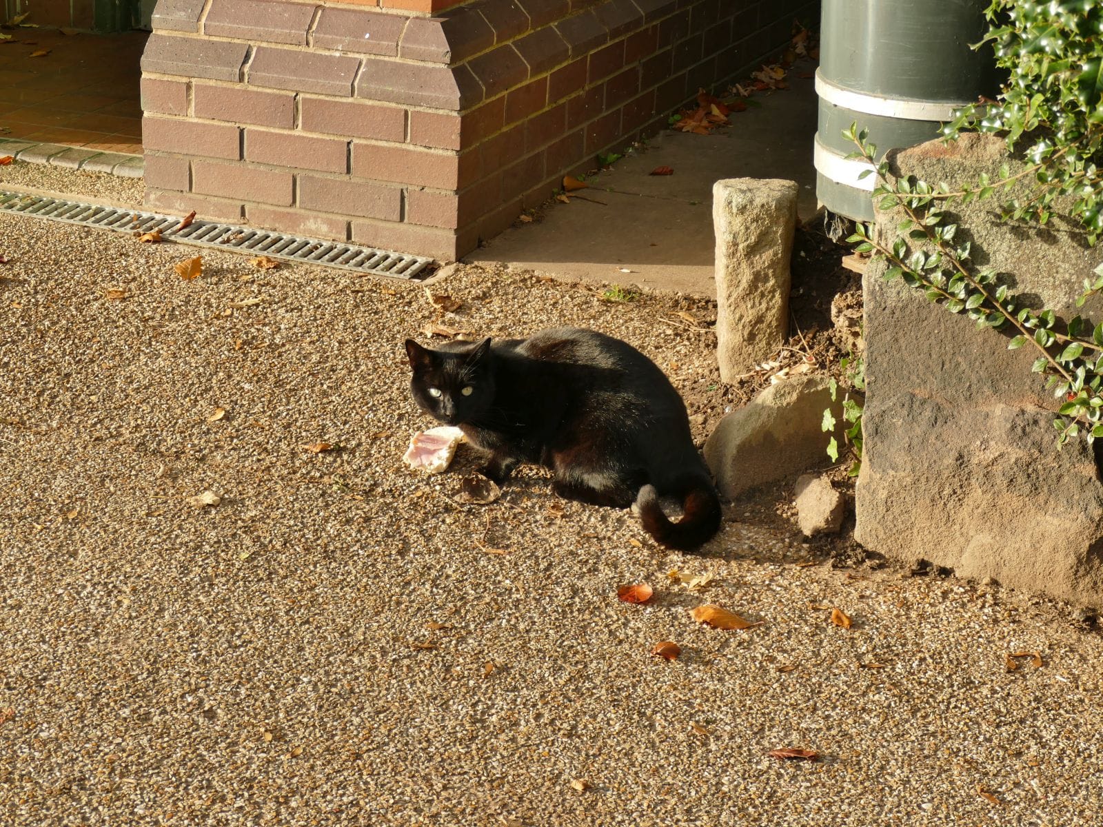 Congleton Park Cafe photo 5