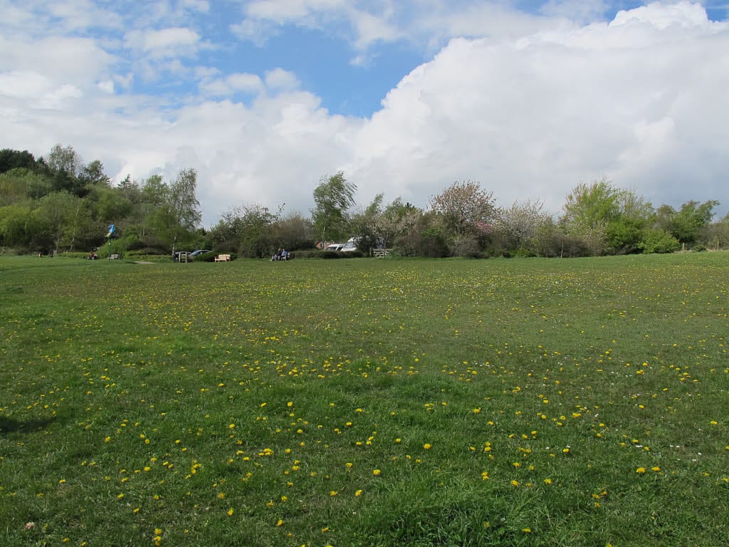 Astbury Mere Country Park photo 8