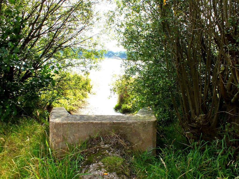 Astbury Mere Country Park photo 10
