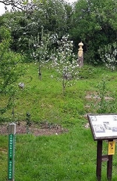 Astbury Mere Country Park photo 7