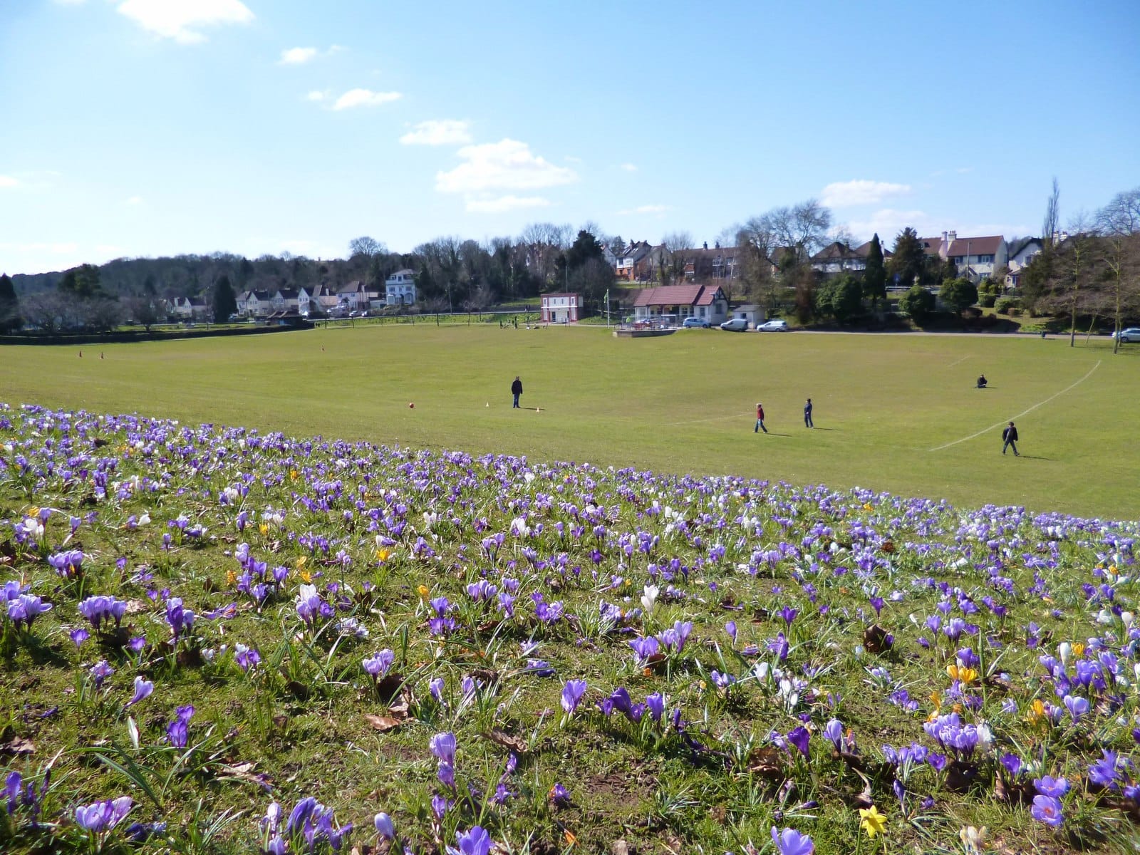 Coulsdon Memorial Ground photo 2