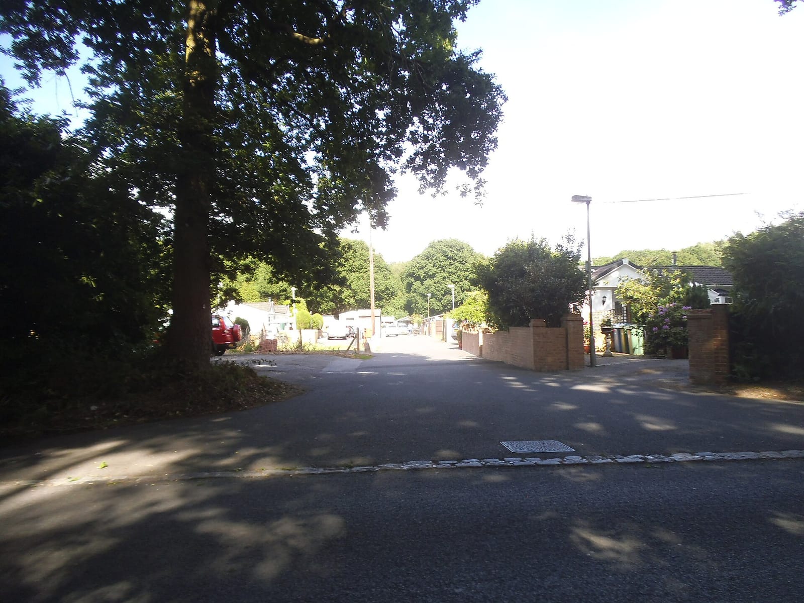Pinewood Bar & Cafe
