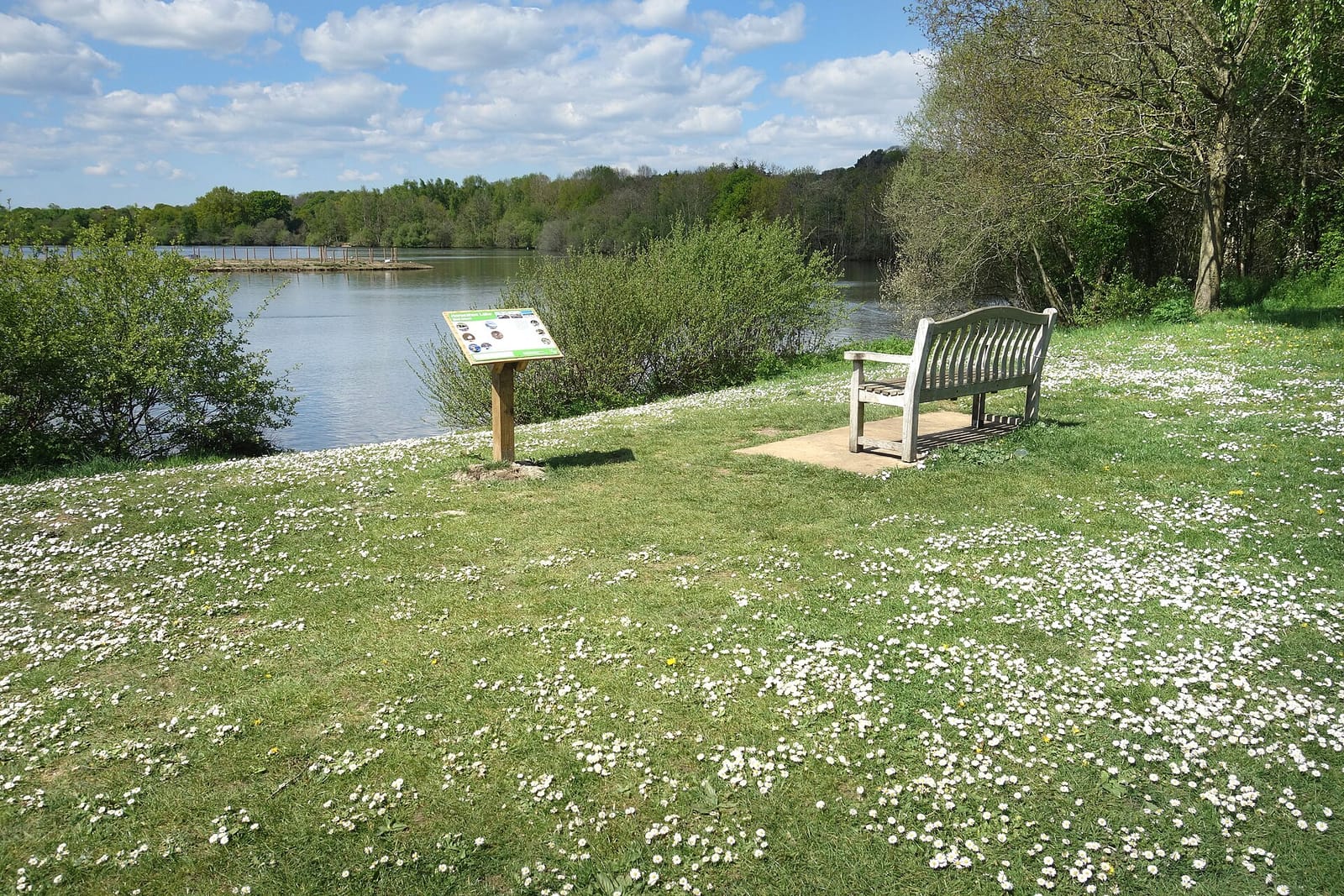Horseshoe Lake Activity Centre - Water Activities & Open Water Swimming photo 9