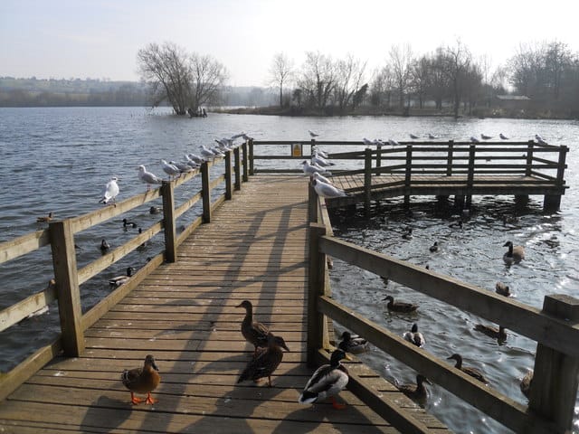 Daventry Country Park Visitor Centre & Cafe photo 5