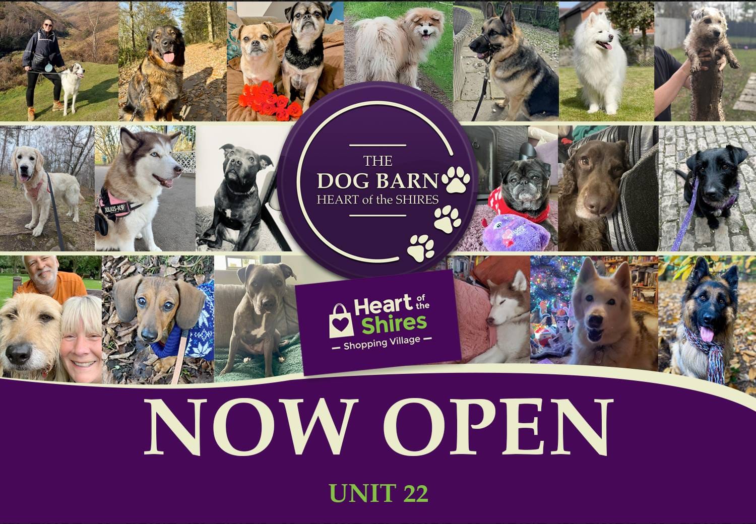 The Dog Barn photo 4
