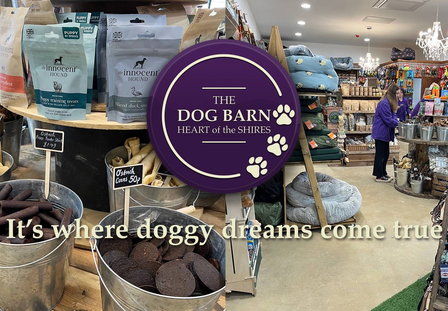 The Dog Barn photo 7