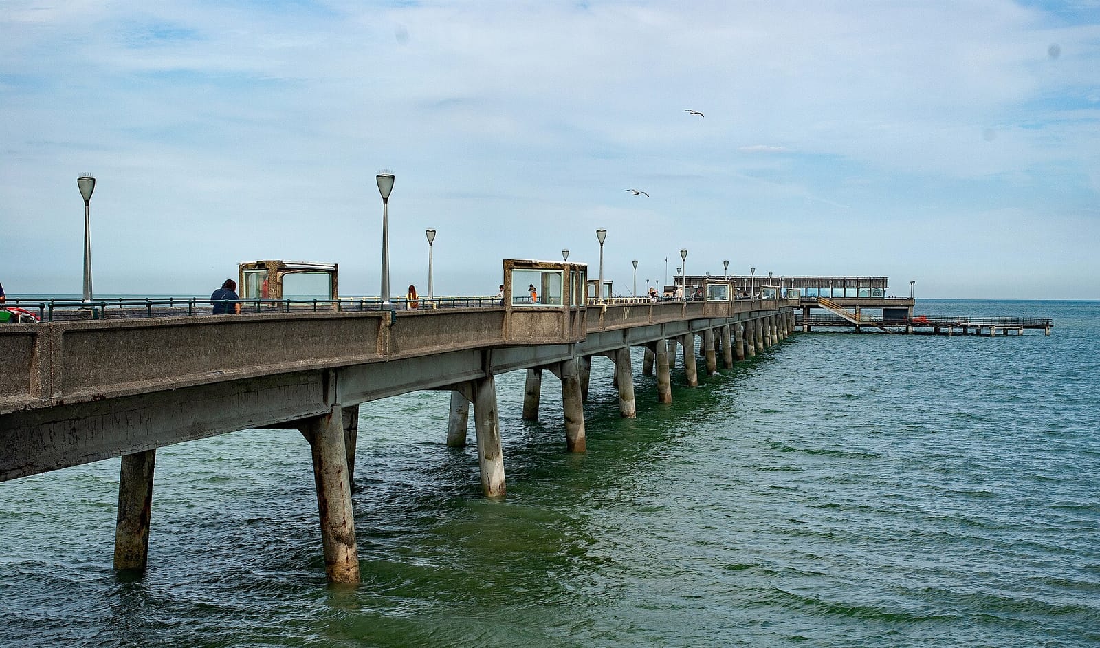Wellington’s photo 4