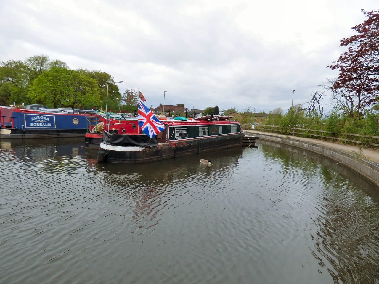 Safari narrow boat tearoom photo 4