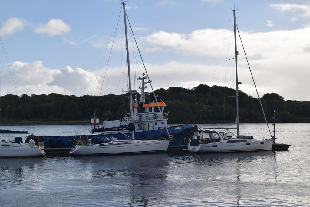 The Pickled Duck Cafe on the Quay photo 5