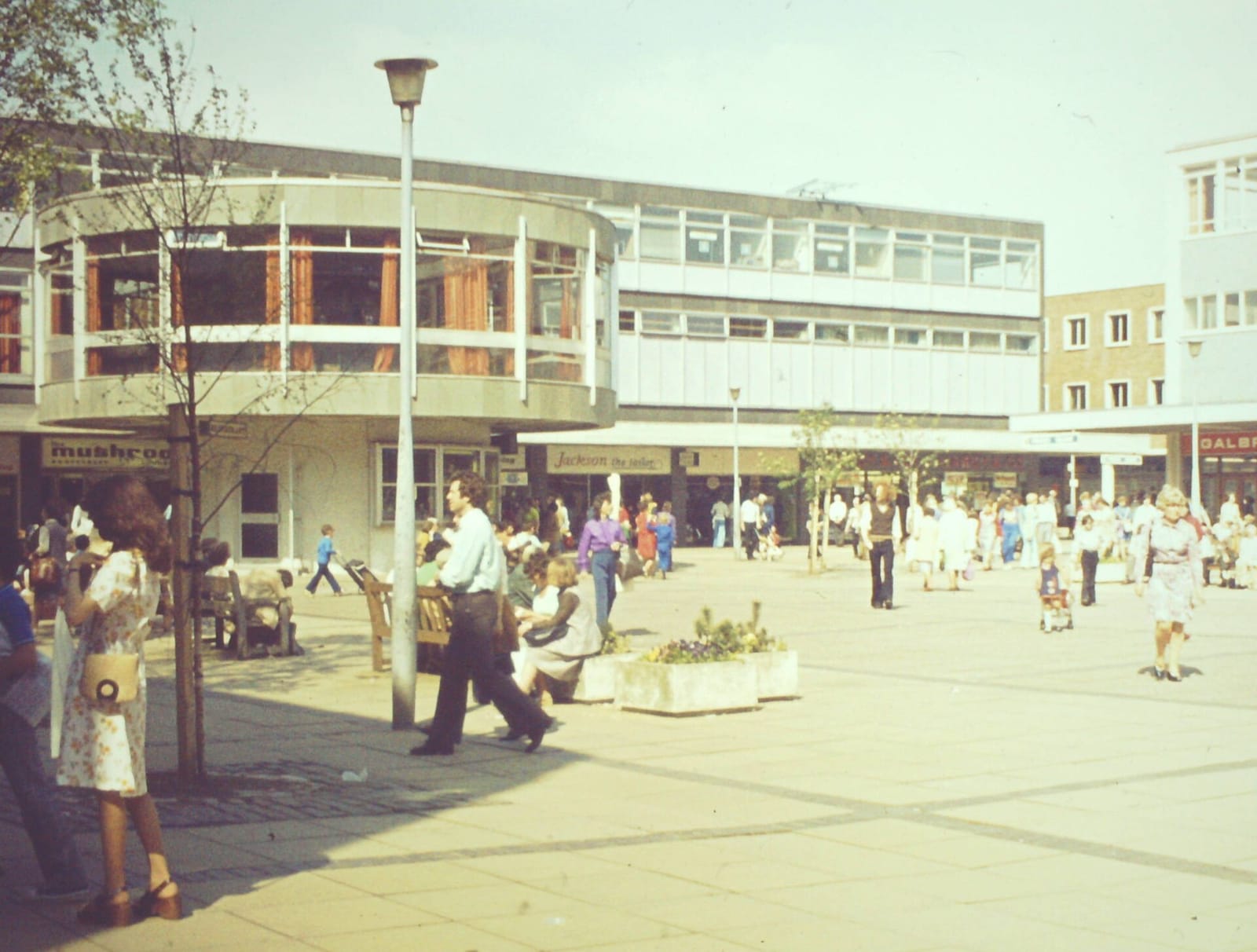 The- Terraces photo 2