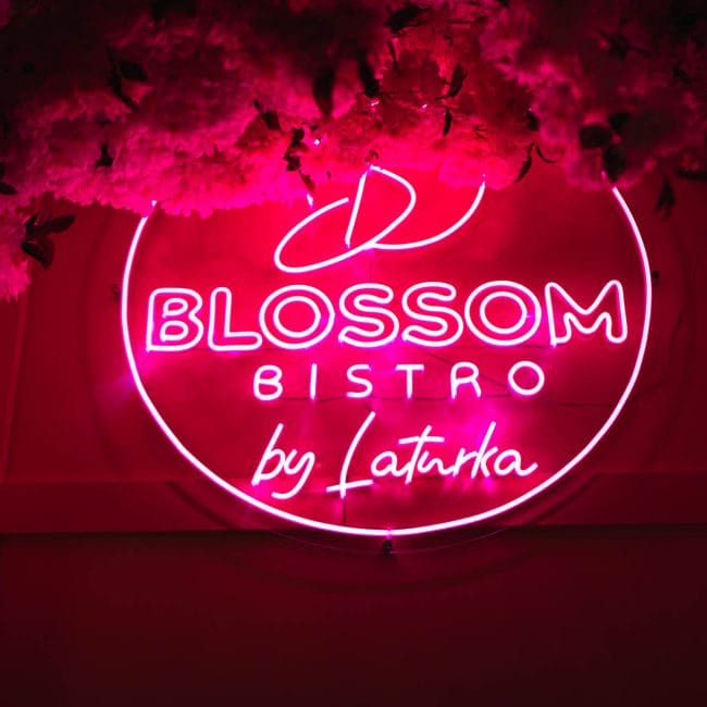 Blossom Bistro by La Turka photo 9