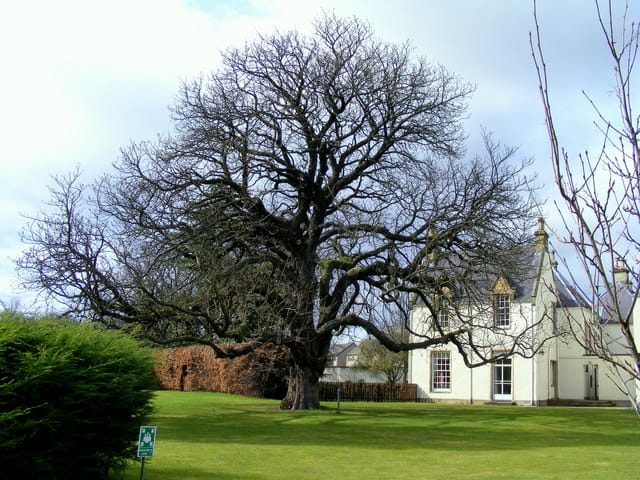 Johnstons of Elgin photo 4