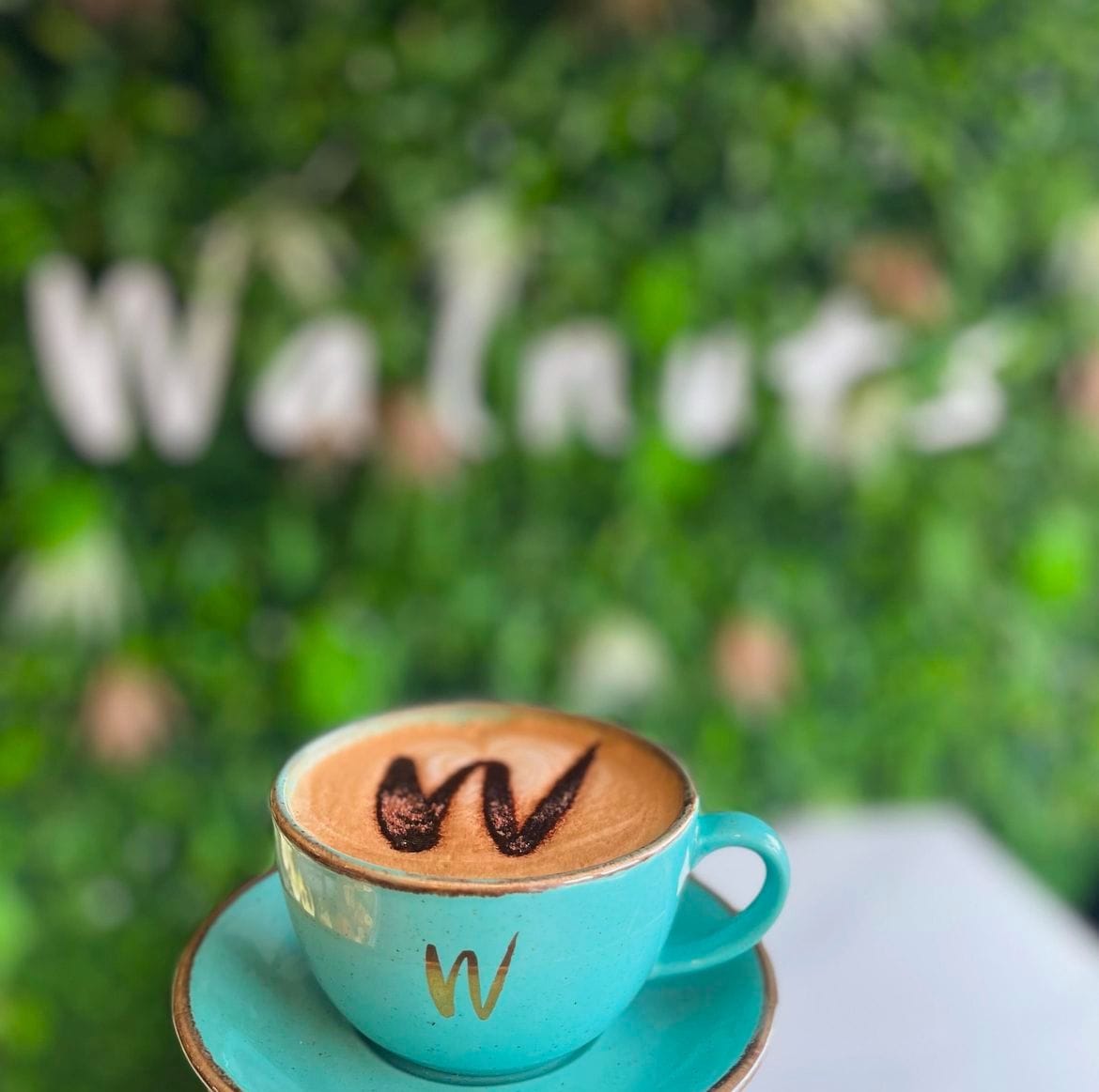Walnuts Cafe Halfway Street photo 9