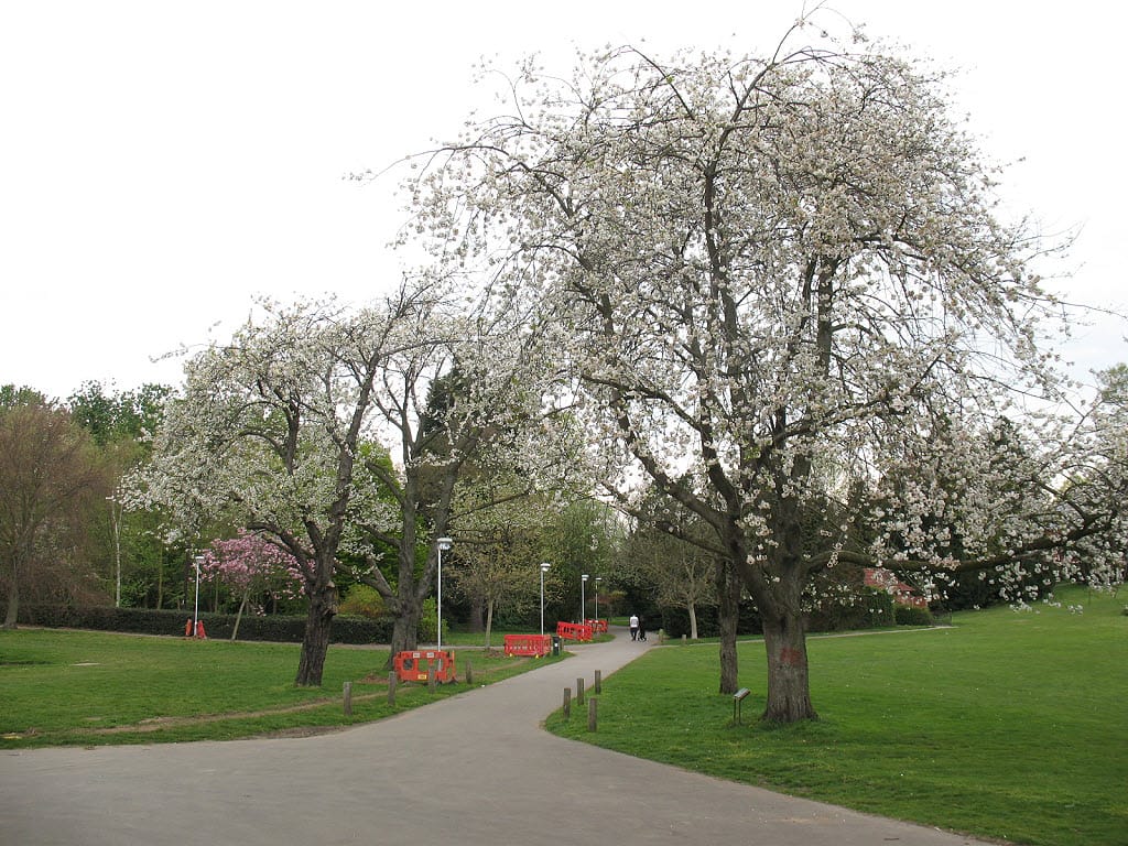 Avery Hill Park Cafe photo 2
