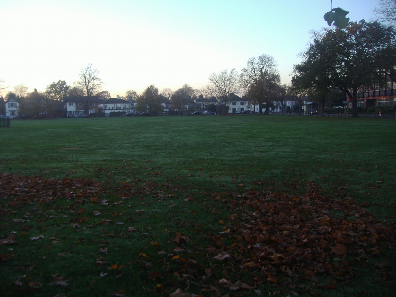 Bean on the Green photo 2