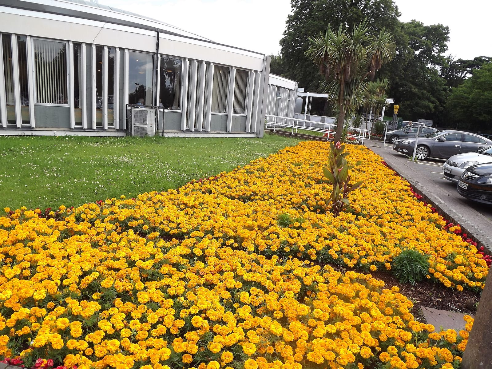 Bourne Hall photo 2