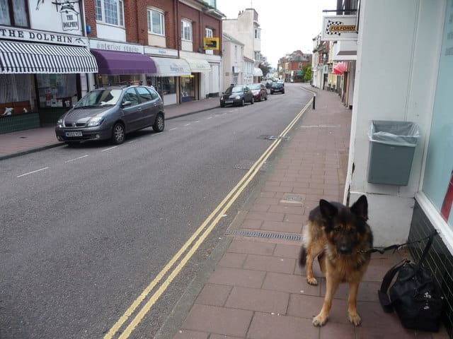 Budleigh Village Emporiam & Cafe photo 5