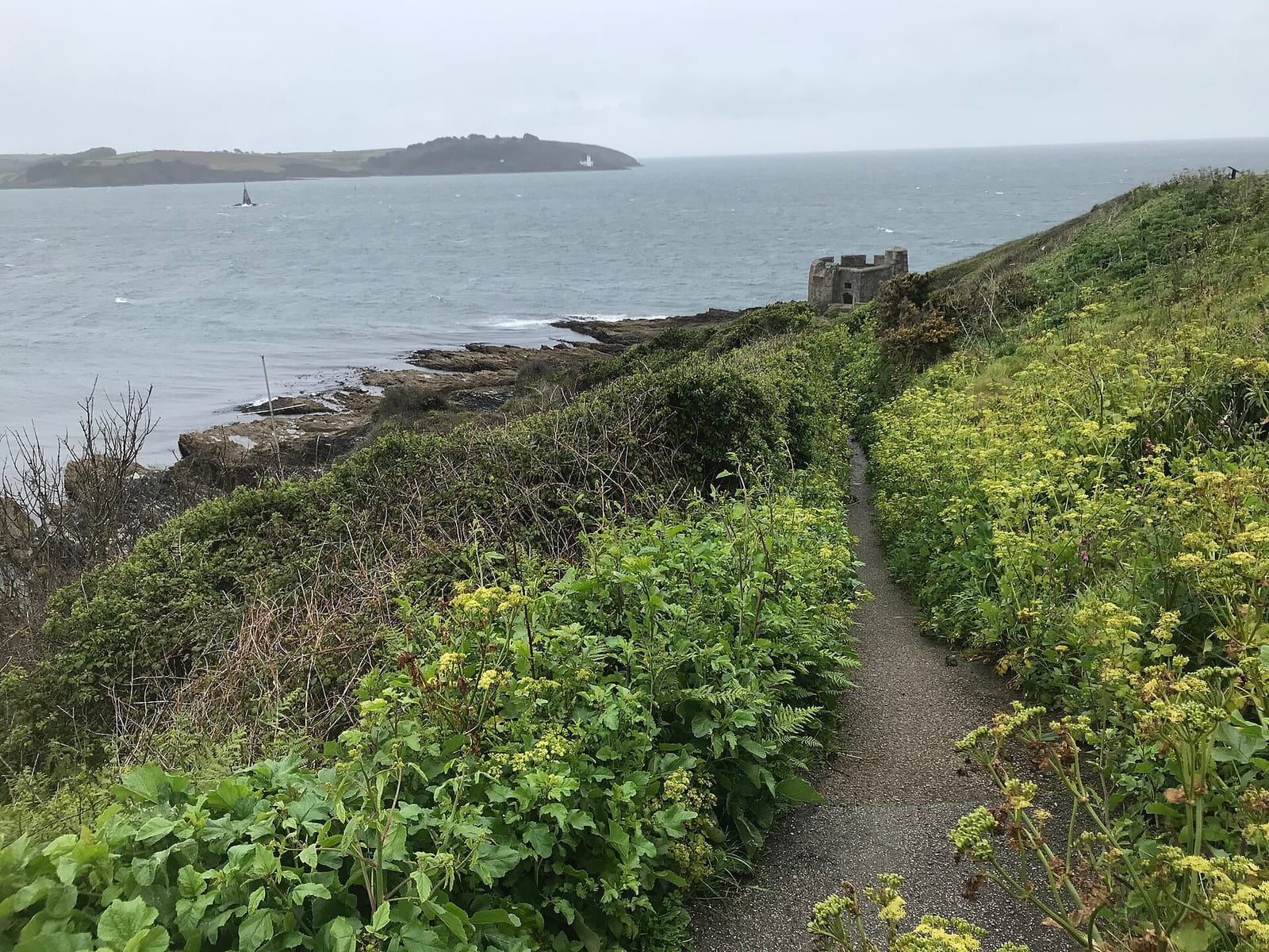 Cafe Kernow photo 3