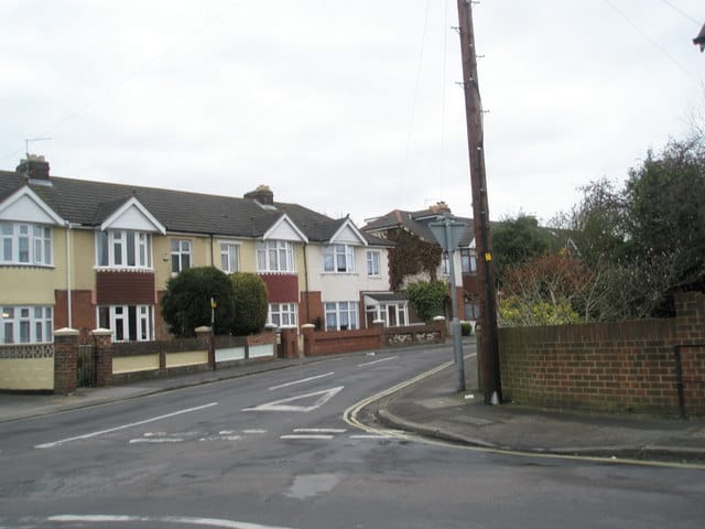 Darcy's photo 4