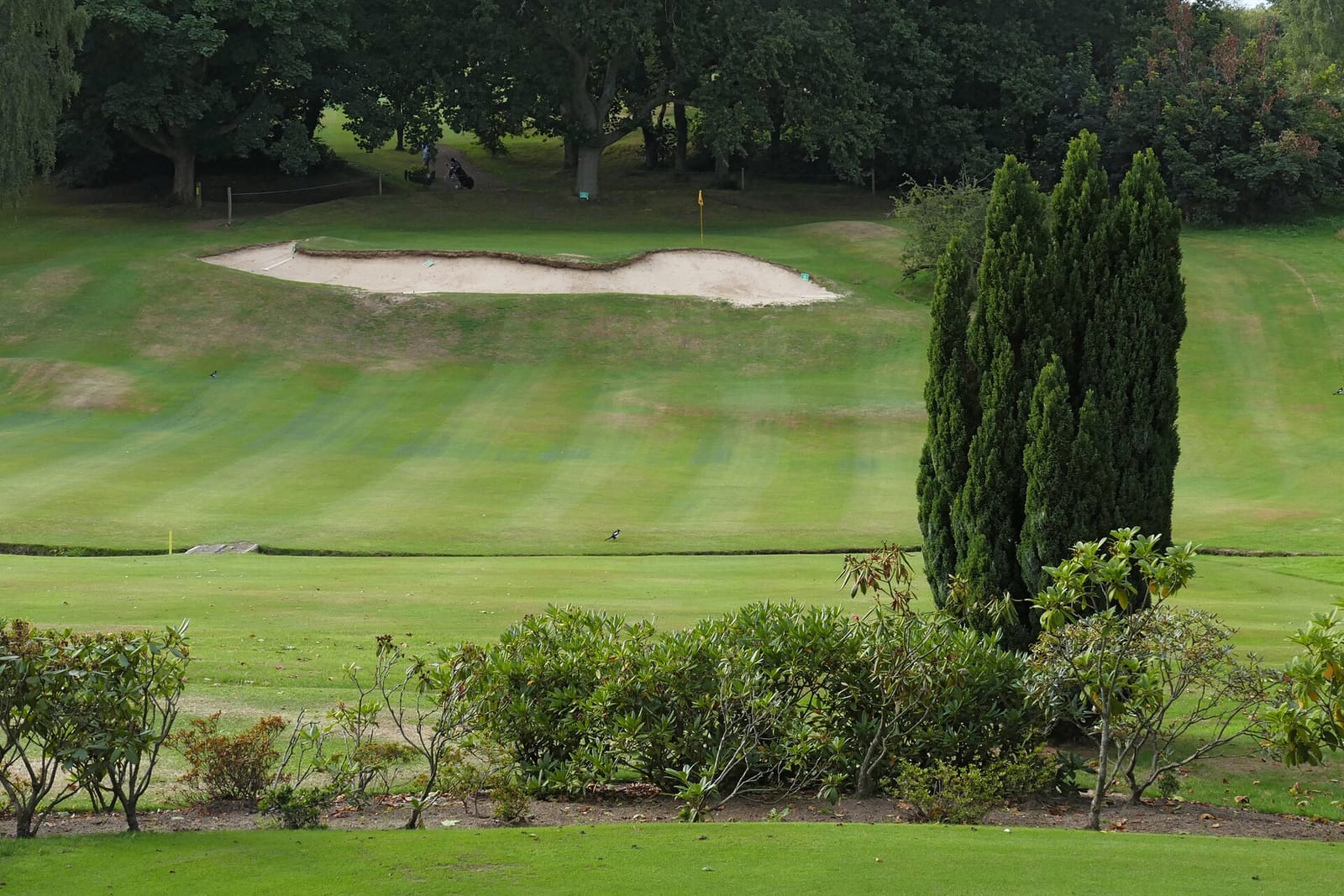 Farnham Park Golf Club and Cafe photo 4