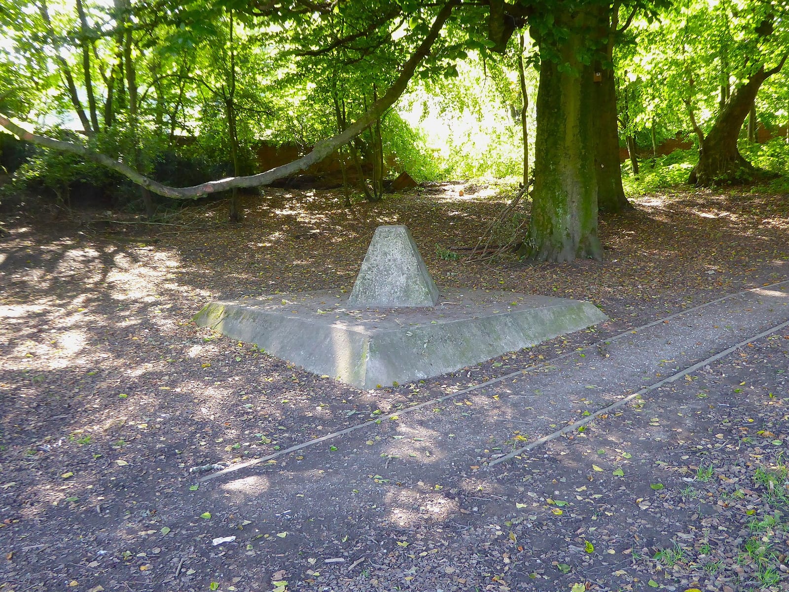 Clifton Country Park Cafe photo 6