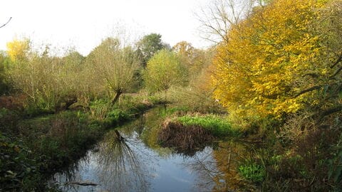 River Crane Brick (Shot) Tower & Cafe photo 2