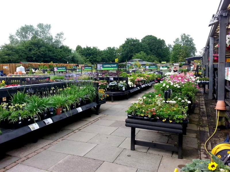 The Gardening Club at Adrian Hall - Feltham photo 3
