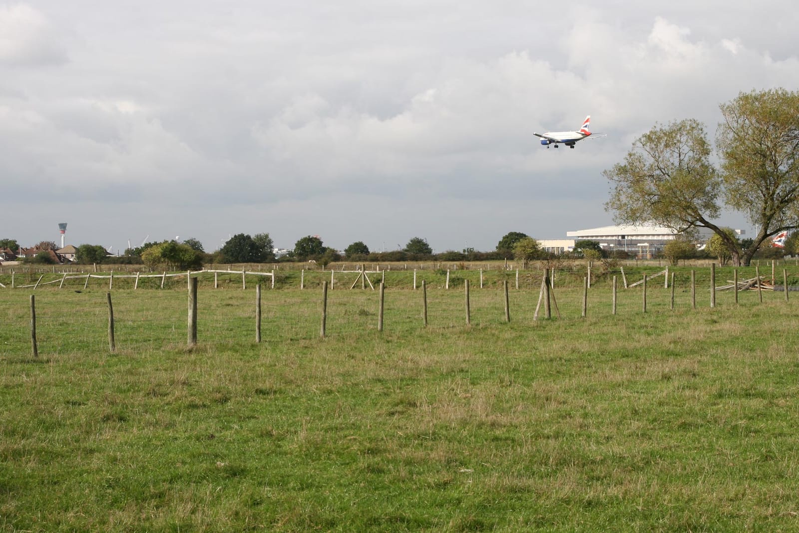 Tesco Cafe