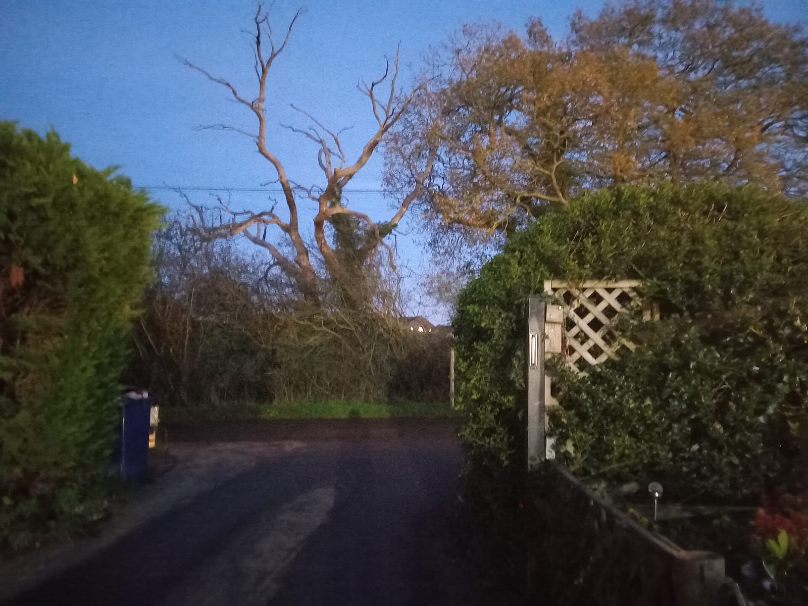 The Summerhouse photo 7
