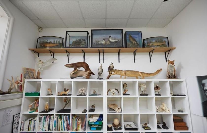 Gosport Museum and Art Gallery photo 7