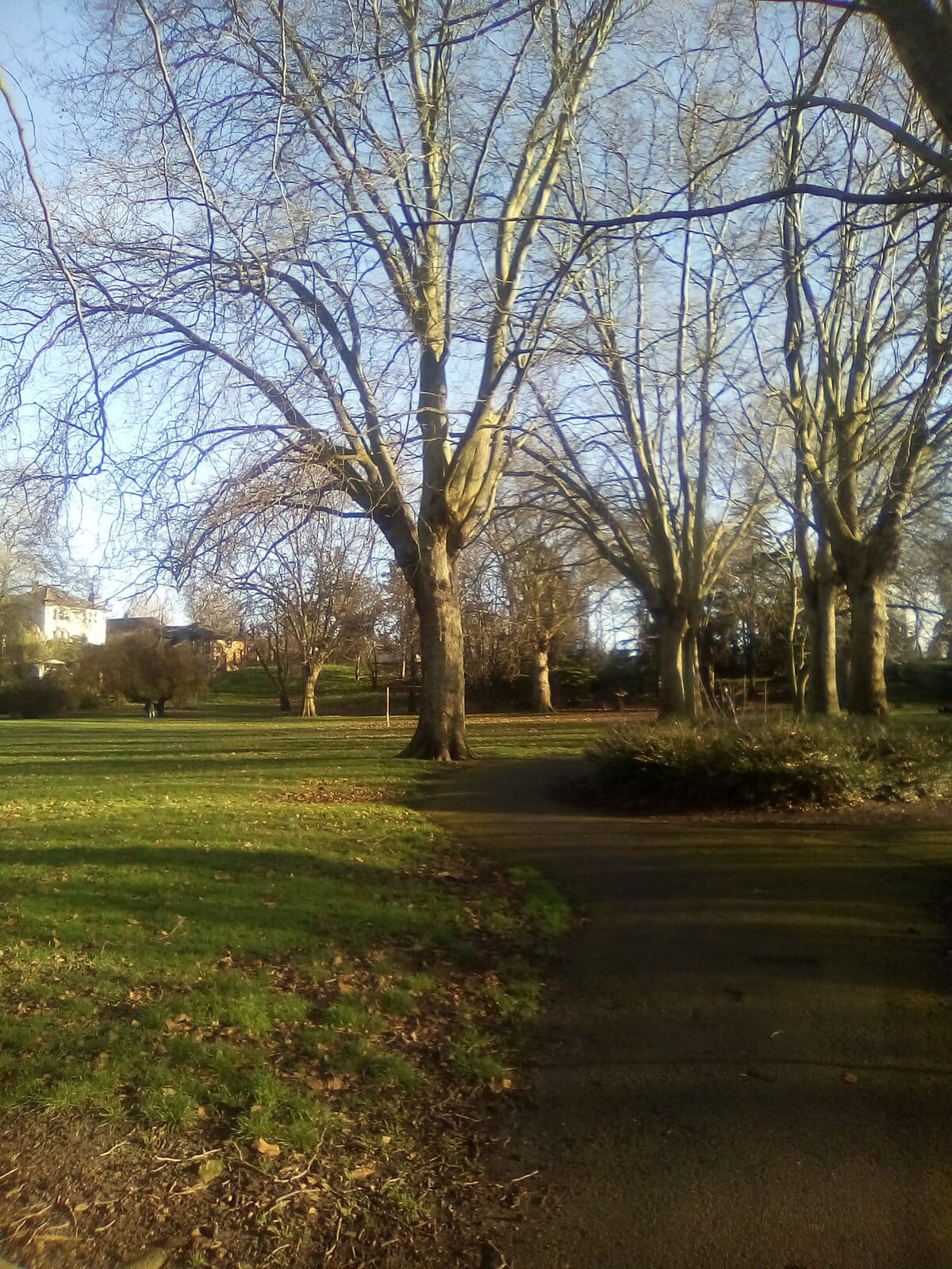 Grays Park Cafe photo 2