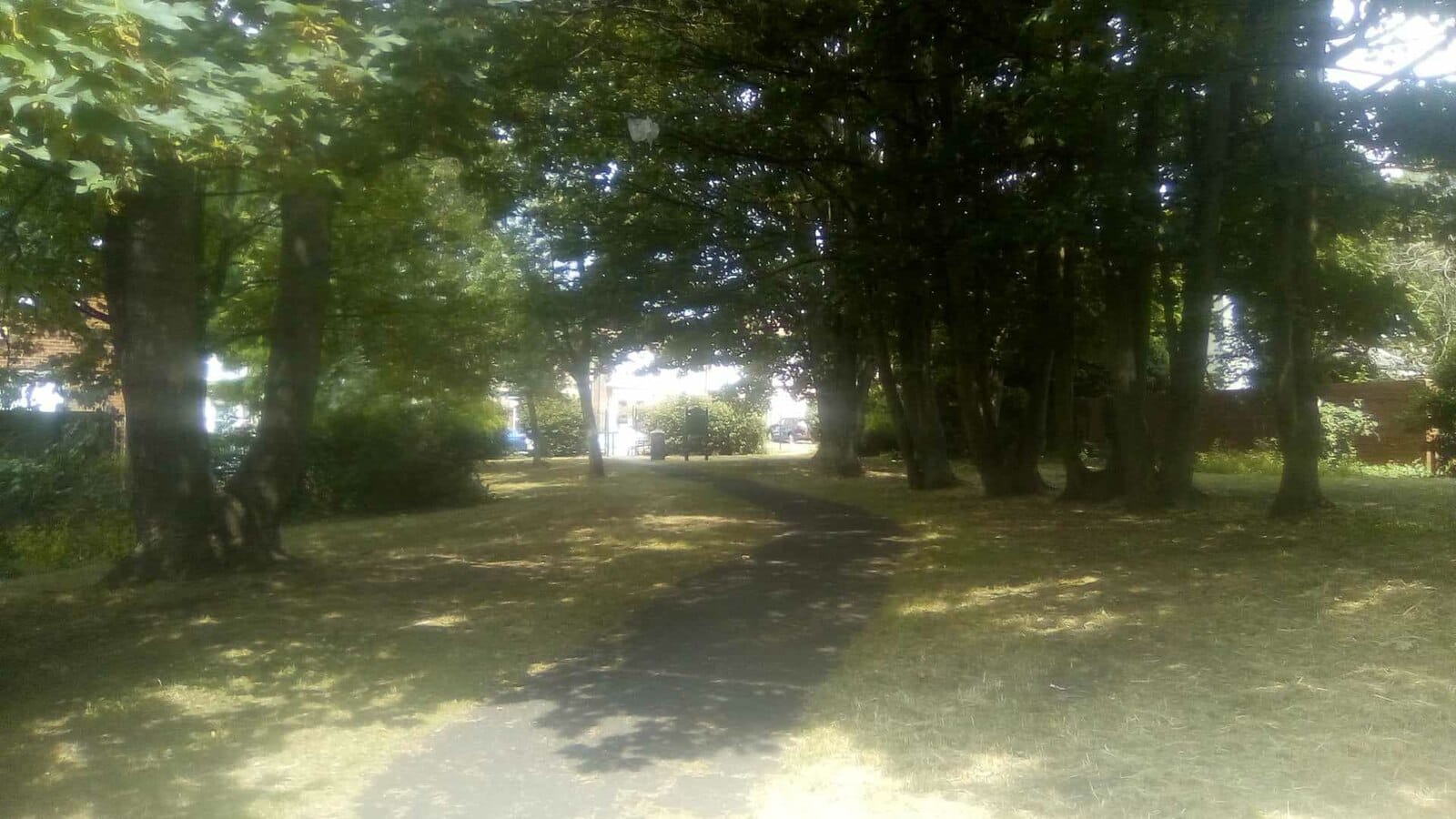 Grays Park Cafe photo 4
