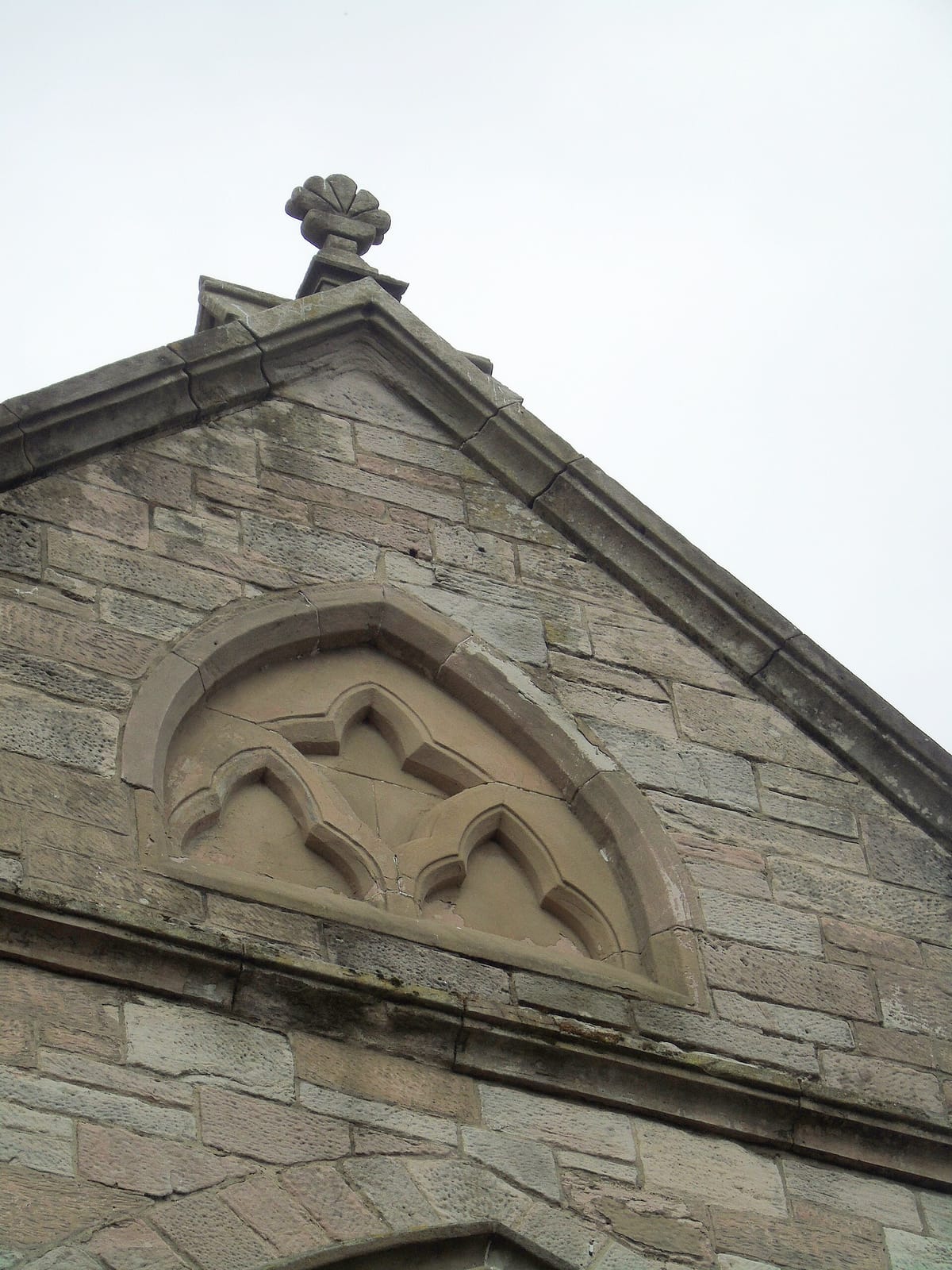 The Albany photo 12