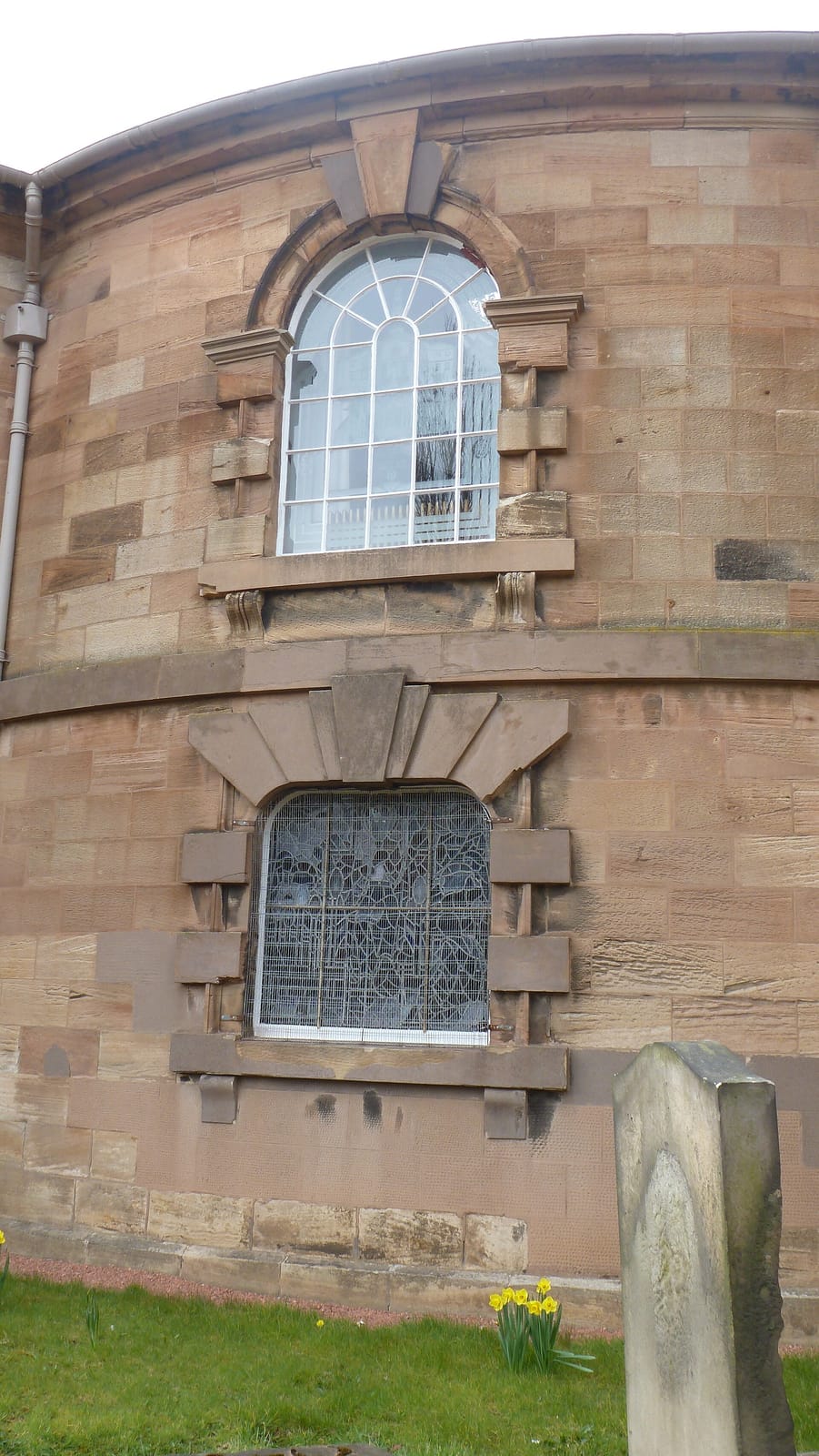 Fionda's photo 4
