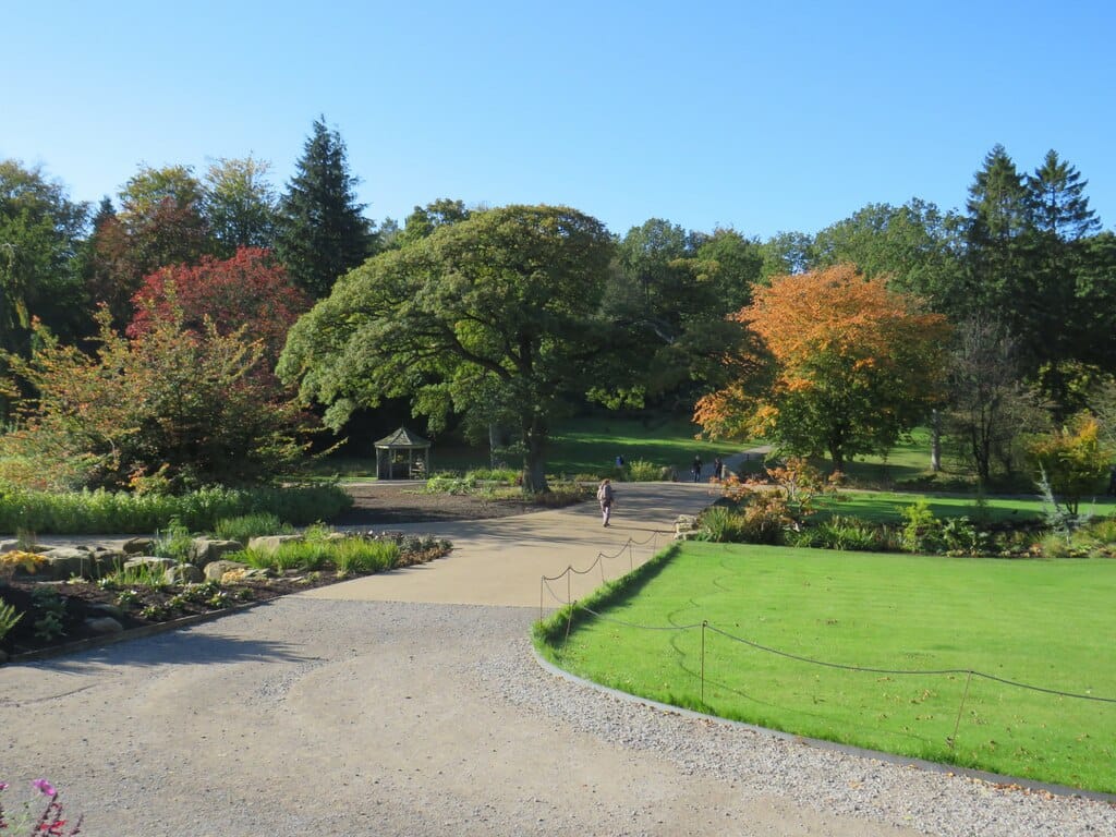 Bettys Café Tea Rooms Harlow Carr photo 10