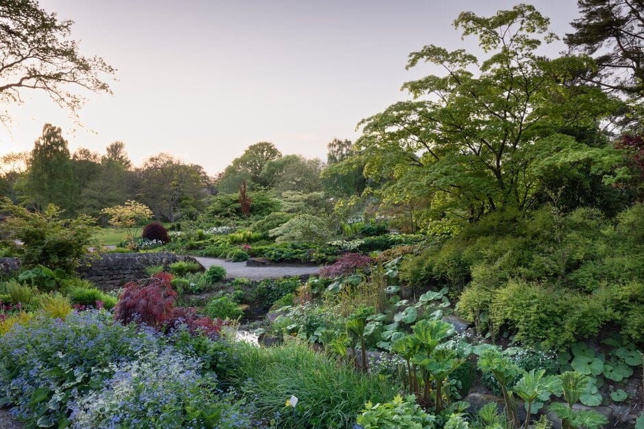 RHS Garden Harlow Carr photo 4