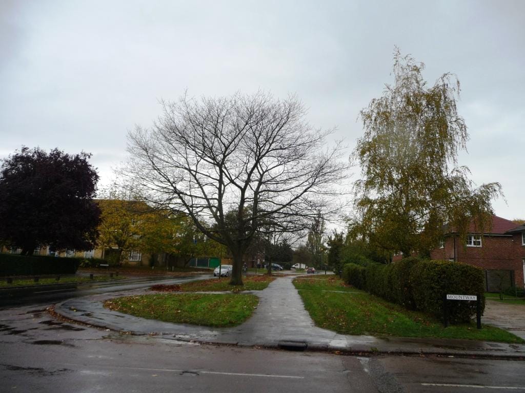 Hollybush Café and Restaurant photo 3
