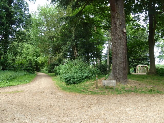 Staunton Country Park photo 3