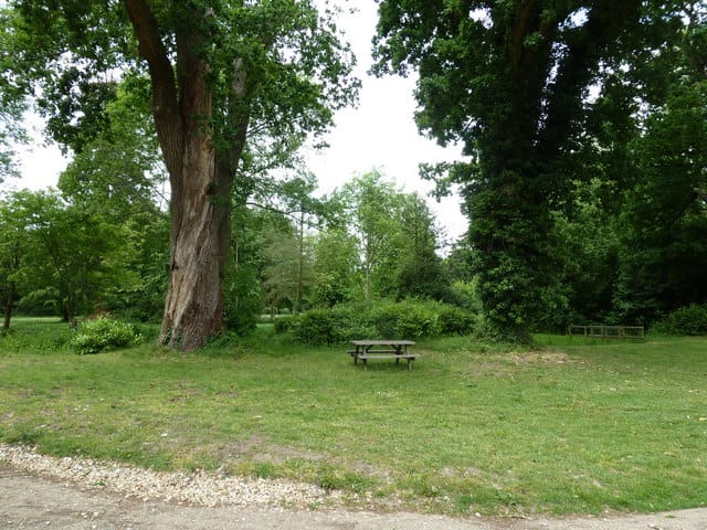 Staunton Country Park photo 2