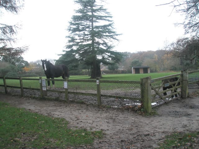 Farmhouse Café at Staunton Farm photo 5