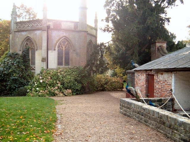 Farmhouse Café at Staunton Farm photo 2