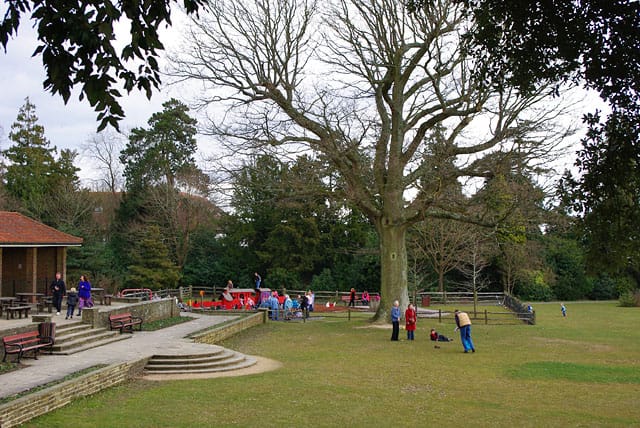 Ground - in the park photo 5