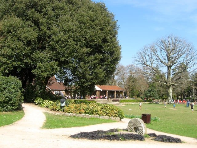 Ground - in the park photo 4