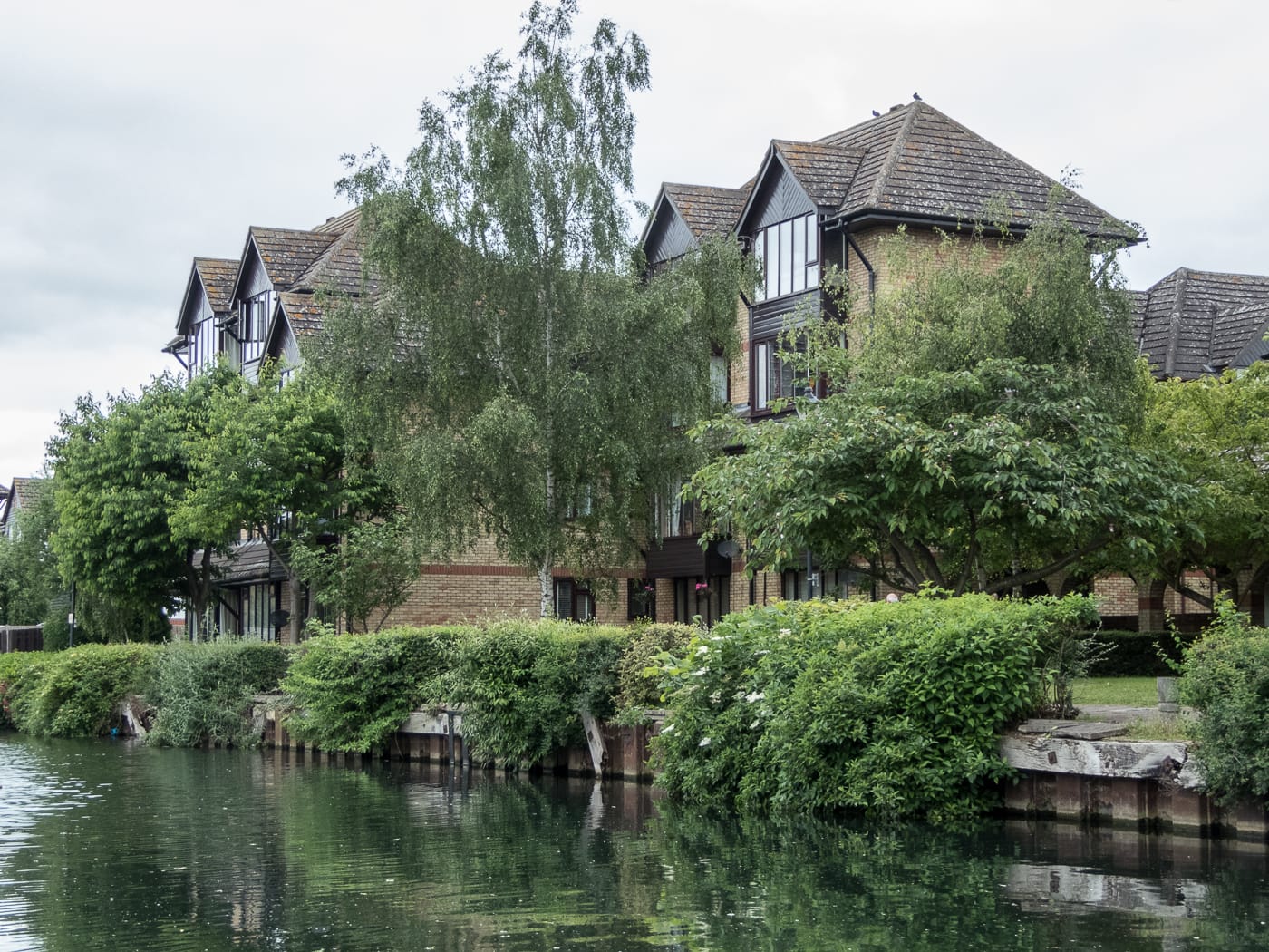 Tea on the lea photo 3