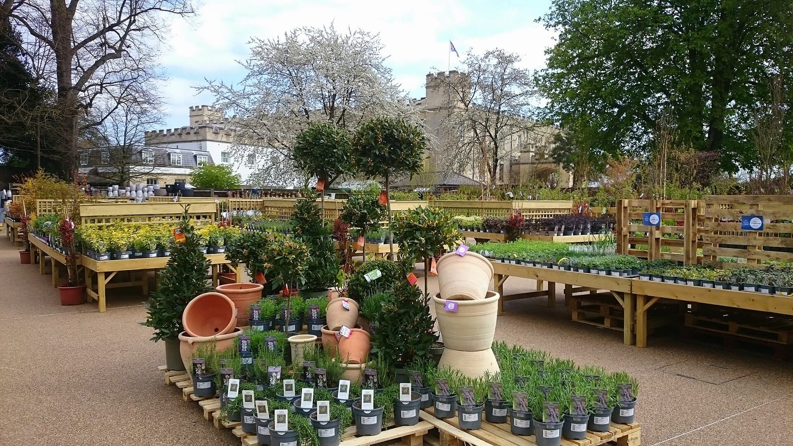 The Clocktower Café Syon Park photo 8