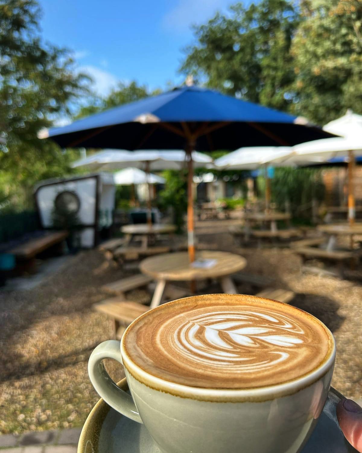 Yøt Cafe & Shop