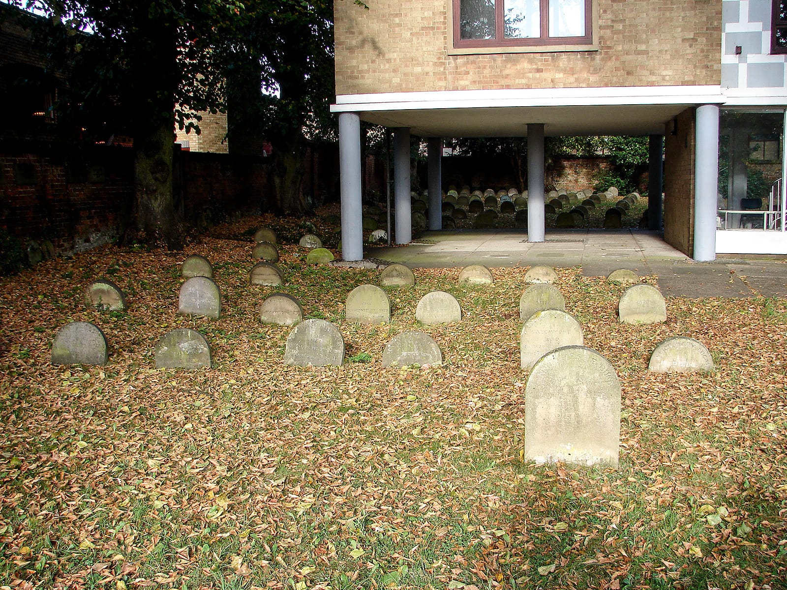North Hertfordshire Museum photo 9